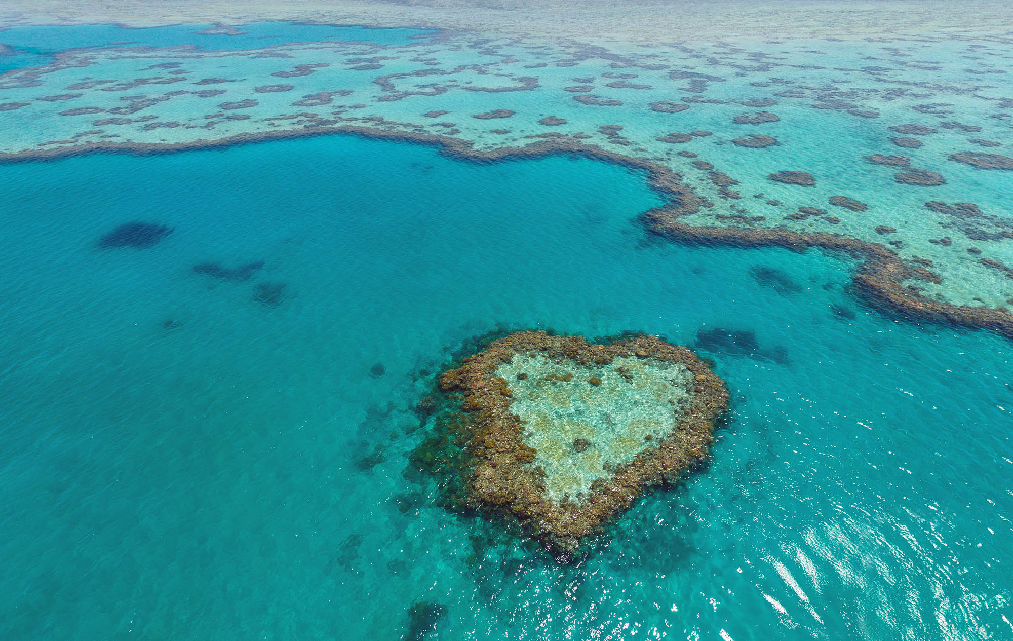 water heart